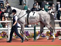 ����å��ǳ��������ɽ�����ޤ�