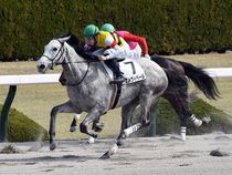 ����å��ǳ��������ɽ�����ޤ�