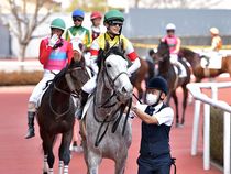 ����å��ǳ��������ɽ�����ޤ�