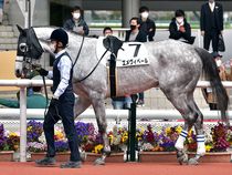 ����å��ǳ��������ɽ�����ޤ�