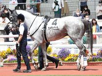 ����å��ǳ��������ɽ�����ޤ�