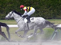 ����å��ǳ��������ɽ�����ޤ�