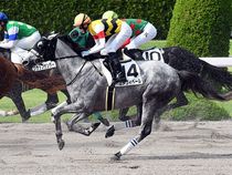 ����å��ǳ��������ɽ�����ޤ�