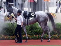 ����å��ǳ��������ɽ�����ޤ�