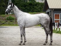 ����å��ǳ��������ɽ�����ޤ�