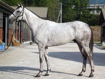 ����å��ǳ��������ɽ�����ޤ�