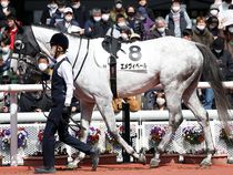 ����å��ǳ��������ɽ�����ޤ�