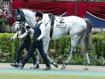 ����å��ǳ��������ɽ�����ޤ�