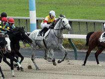 ����å��ǳ��������ɽ�����ޤ�