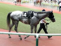 ����å��ǳ��������ɽ�����ޤ�