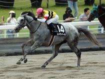 ����å��ǳ��������ɽ�����ޤ�