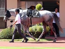 ����å��ǳ��������ɽ�����ޤ�