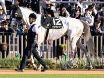 ����å��ǳ��������ɽ�����ޤ�