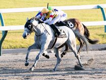 ����å��ǳ��������ɽ�����ޤ�