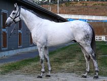 ����å��ǳ��������ɽ�����ޤ�