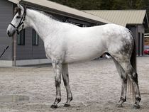 ����å��ǳ��������ɽ�����ޤ�