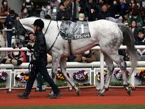 ����å��ǳ��������ɽ�����ޤ�