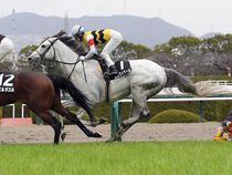 ����å��ǳ��������ɽ�����ޤ�