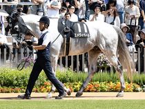 ����å��ǳ��������ɽ�����ޤ�