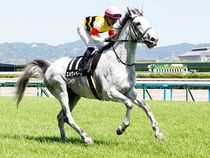 ����å��ǳ��������ɽ�����ޤ�