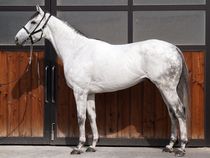 ����å��ǳ��������ɽ�����ޤ�