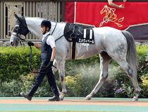 ����å��ǳ��������ɽ�����ޤ�