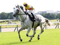 ����å��ǳ��������ɽ�����ޤ�