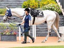 ����å��ǳ��������ɽ�����ޤ�