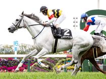 ����å��ǳ��������ɽ�����ޤ�