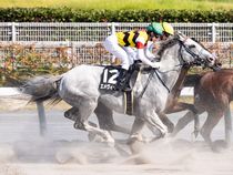 ����å��ǳ��������ɽ�����ޤ�