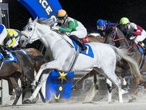 ����å��ǳ��������ɽ�����ޤ�