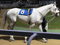 ����å��ǳ��������ɽ�����ޤ�