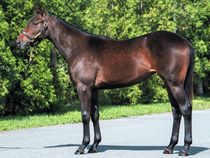 ����å��ǳ��������ɽ�����ޤ�