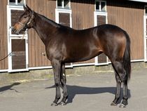 ����å��ǳ��������ɽ�����ޤ�