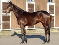 ����å��ǳ��������ɽ�����ޤ�