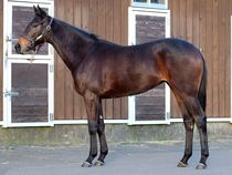 ����å��ǳ��������ɽ�����ޤ�