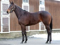 ����å��ǳ��������ɽ�����ޤ�