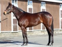 ����å��ǳ��������ɽ�����ޤ�