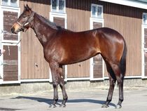 ����å��ǳ��������ɽ�����ޤ�