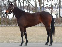 ����å��ǳ��������ɽ�����ޤ�