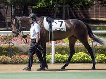 ����å��ǳ��������ɽ�����ޤ�