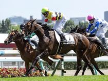 ����å��ǳ��������ɽ�����ޤ�