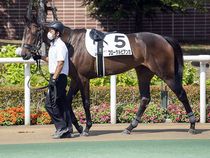 ����å��ǳ��������ɽ�����ޤ�