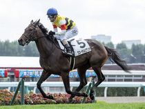 ����å��ǳ��������ɽ�����ޤ�