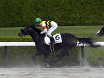 ����å��ǳ��������ɽ�����ޤ�