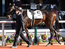 ����å��ǳ��������ɽ�����ޤ�