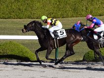 ����å��ǳ��������ɽ�����ޤ�