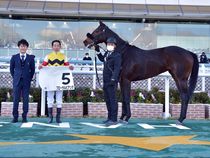 ����å��ǳ��������ɽ�����ޤ�