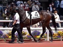 ����å��ǳ��������ɽ�����ޤ�