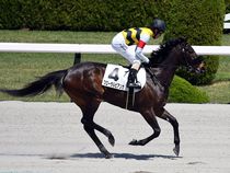 ����å��ǳ��������ɽ�����ޤ�